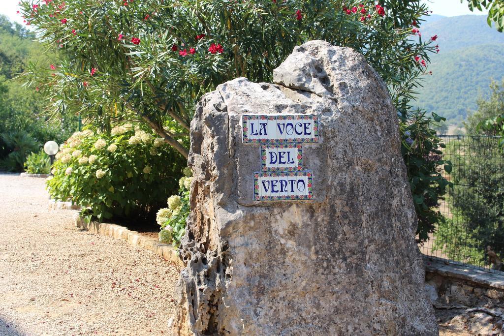 Villa La Voce Del Vento Pastena  Exteriér fotografie